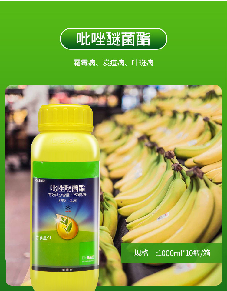 25%吡唑醚菌酯霜霉病叶斑病炭疽病白粉病农药杀菌剂 8ml【图片 价格