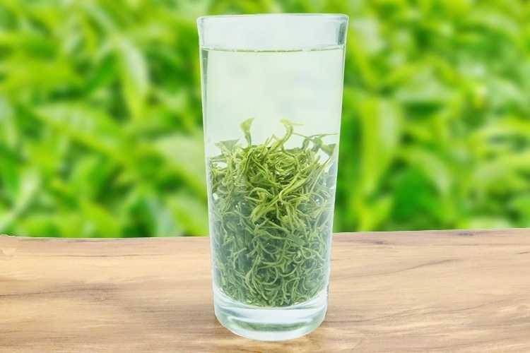 一斤半斤陝西特產漢中綠茶西鄉炒青2020新茶葉濃香耐泡茶750g