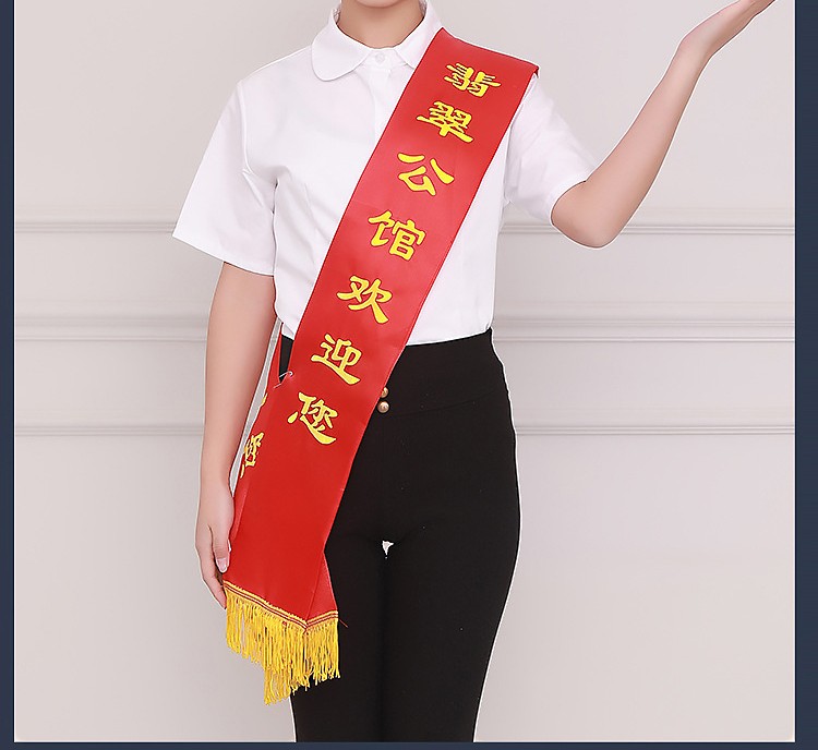 兰衍 绶带 礼仪带公司表彰带定做迎宾带 表彰绶带 红色 小学生1.