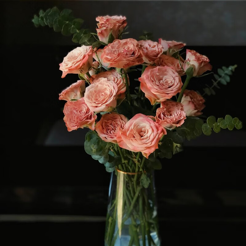 卡布奇诺玫瑰花鲜花云南直发顺丰洛神玫瑰花束水养插花批发花卉 10支