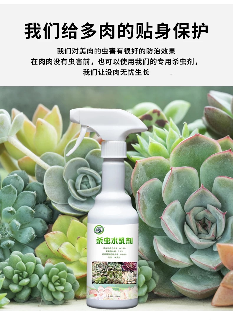 坤宁王花卉杀虫剂坤宁王多肉专用杀虫剂蚧壳虫小白虫飞虫蚜虫小黑飞