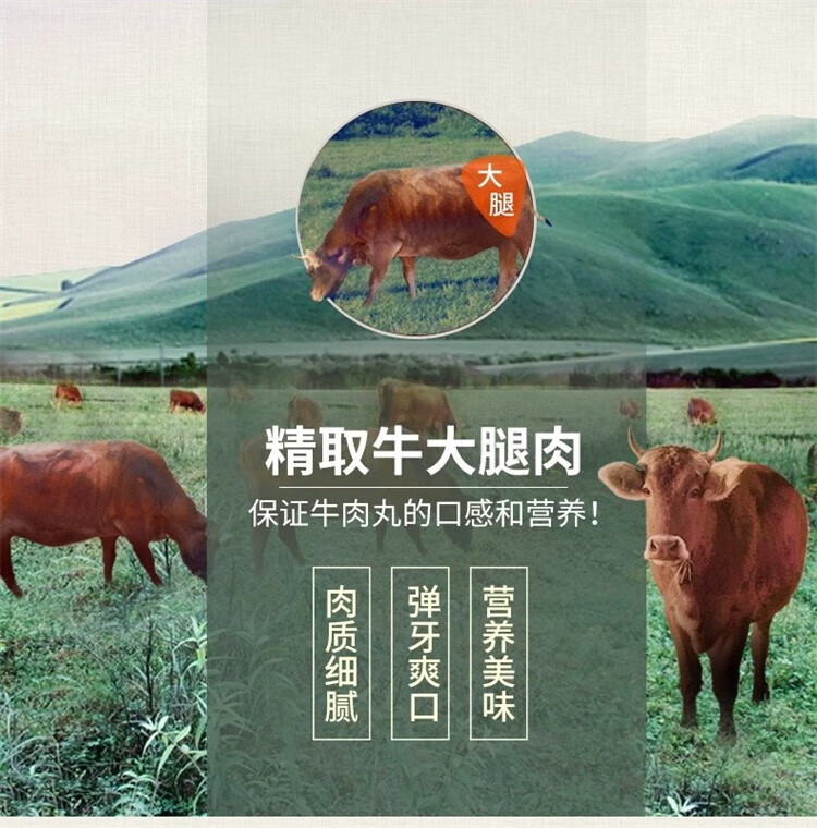 3，正宗潮汕牛肉丸新鮮手打潮州汕頭丸子火鍋食材 牛肉丸 2斤+牛筋丸2斤