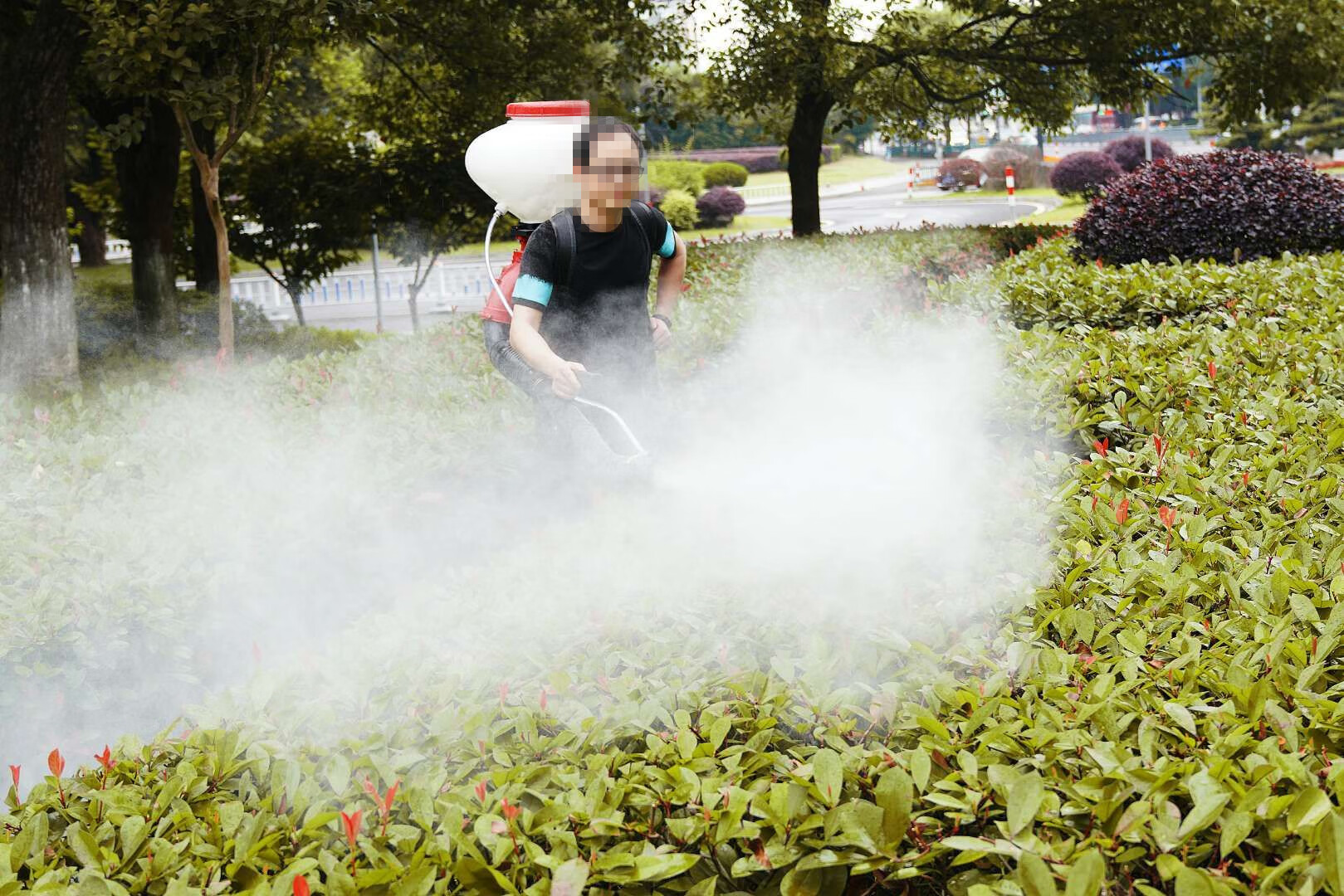 喷粉机喷雾器施肥神器农药机农用汽油机打药机家用高压果树多功能 四