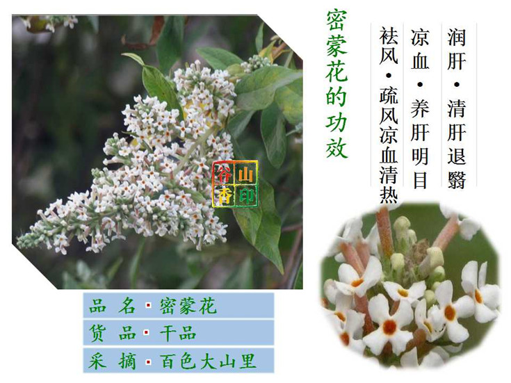 广西五色糯米饭花米饭天然植物染料紫红黄蓝绿或紫红黄黑sn8680