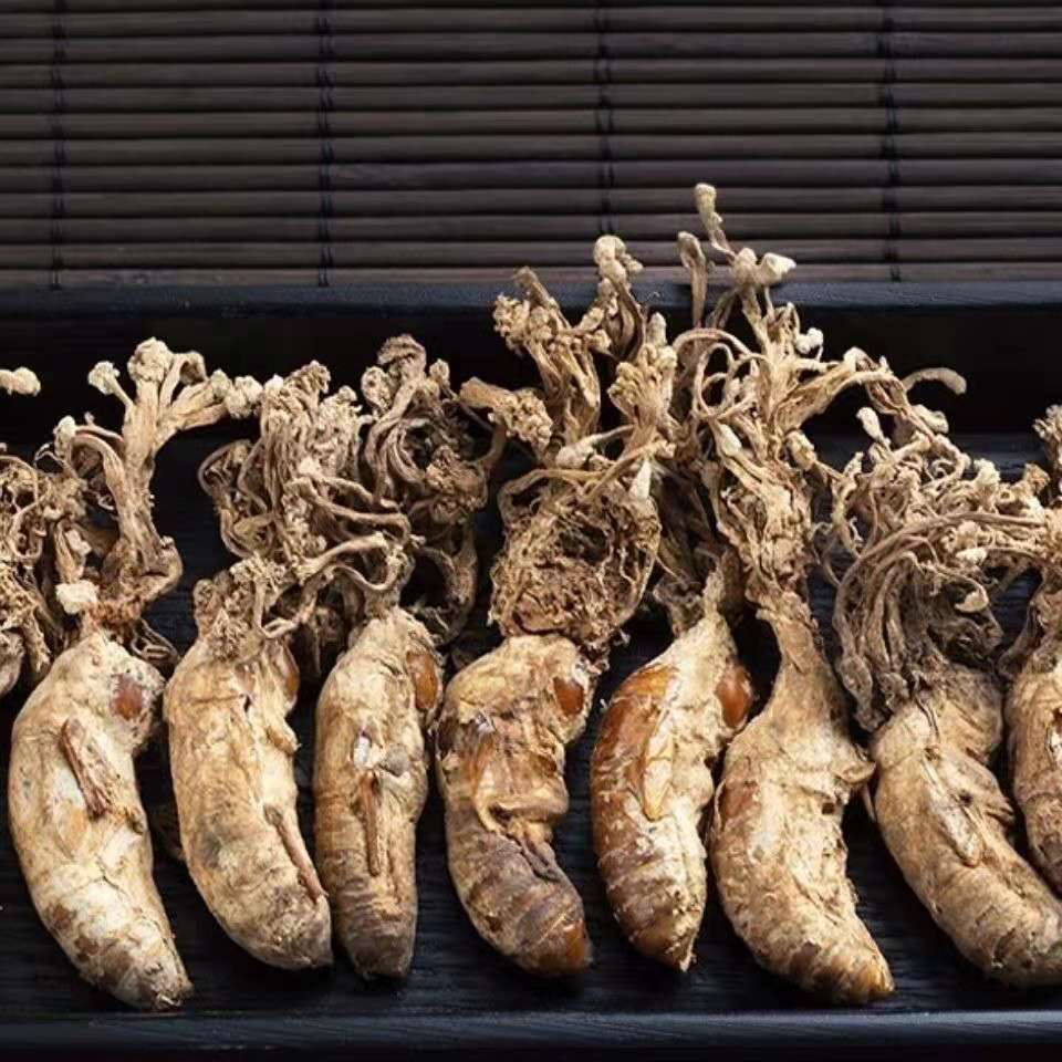 伟博金蝉花新货大别山野生金蚕花蝉花知了花虫草粉中药材 250克【图片