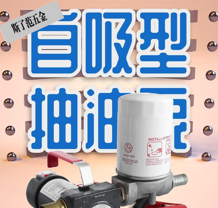 24v2f12v2f220v抽油泵电动加油泵自吸泵柴油泵输油泵带可清洗过滤器