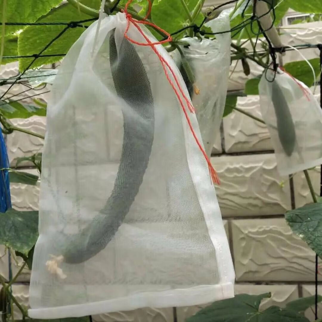 【精选】尼龙网袋瓜果防虫袋丝瓜苦瓜套袋 40x22厘米 50个【图片 价格