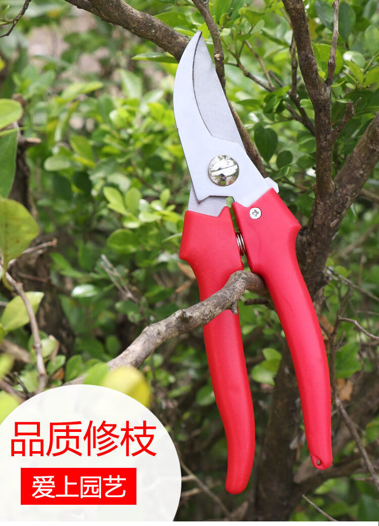 867436ab3db87786.jpg