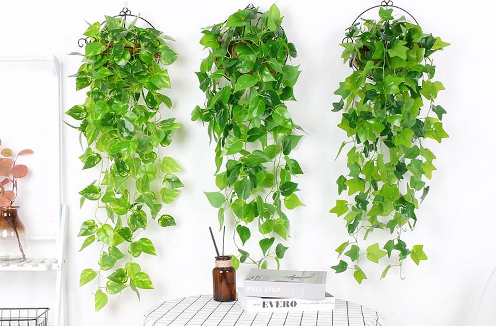 齐鲁铭鑫 仿真植物绿萝爬山虎常绿藤 绿叶藤蔓 假花藤条 墙面客厅室内