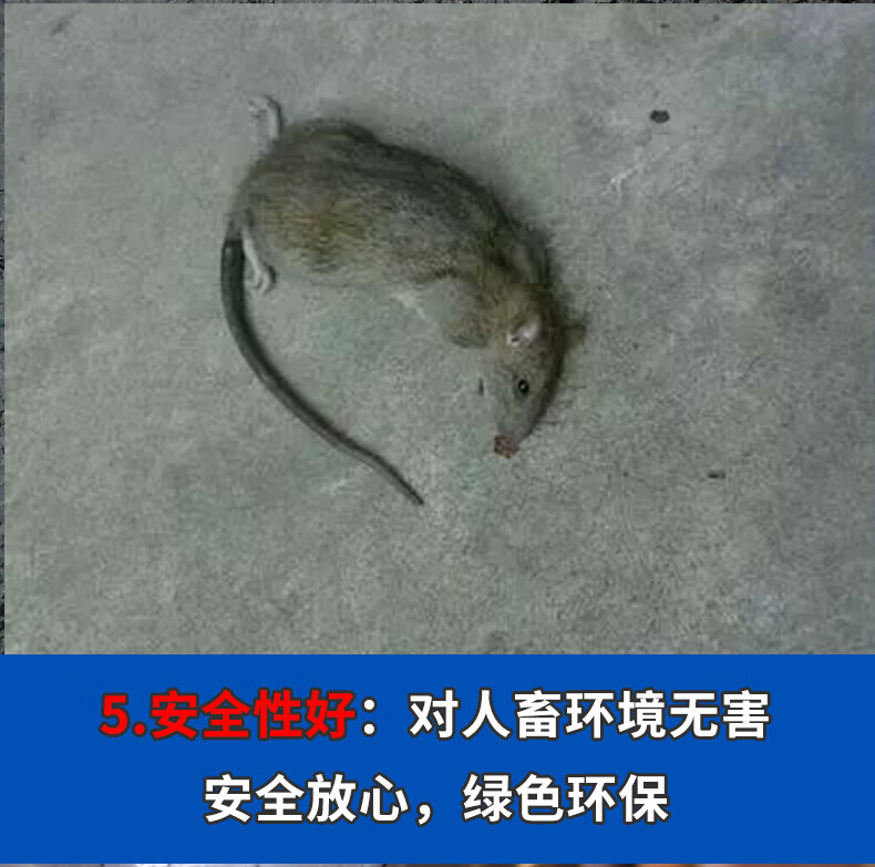 双蛇牌闻到死老鼠药图片