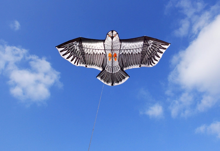 风筝老鹰风筝潍坊百特老鹰风筝微风易飞风筝新款初学者易飞24米钢鹰仅