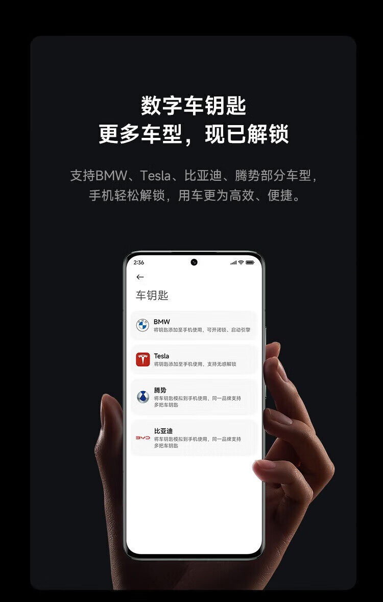 276b6bec1d184b33.jpg