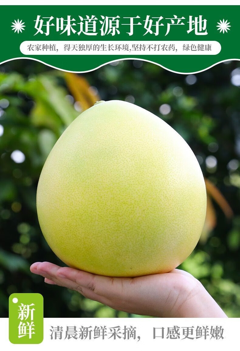 顺丰50斤梅州红心柚子蜜柚新鲜水果特产批发中秋非福建 带包装50斤12