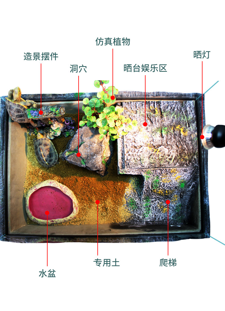 巴西龜,烏龜/花龜/草龜,龜類通用主要材質:玻璃規格:中型類別:飼養箱