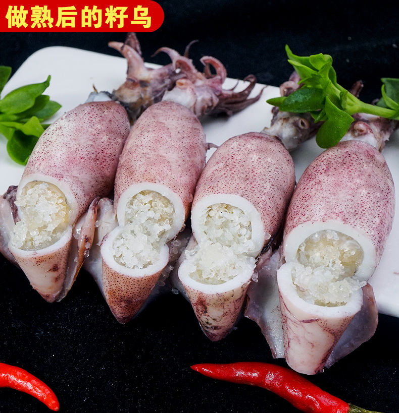 满籽籽乌全籽籽乌生鲜海兔笔管鱼墨鱼鱿鱼墨斗鱼烧烤海鲜 【精选原籽