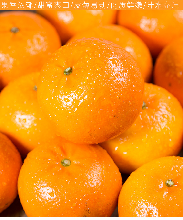 广西10斤新鲜水果蜜橘子当季大果皇帝沙糖丑柑橘桔子整箱3斤中果果径