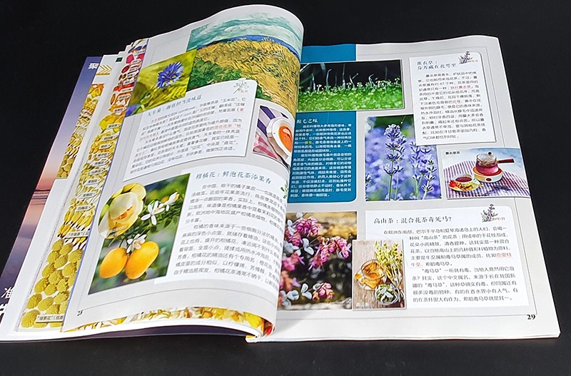 现货 博物杂志 中国国家地理少年版 2020年7月蘑菇专辑/象国演义/野生