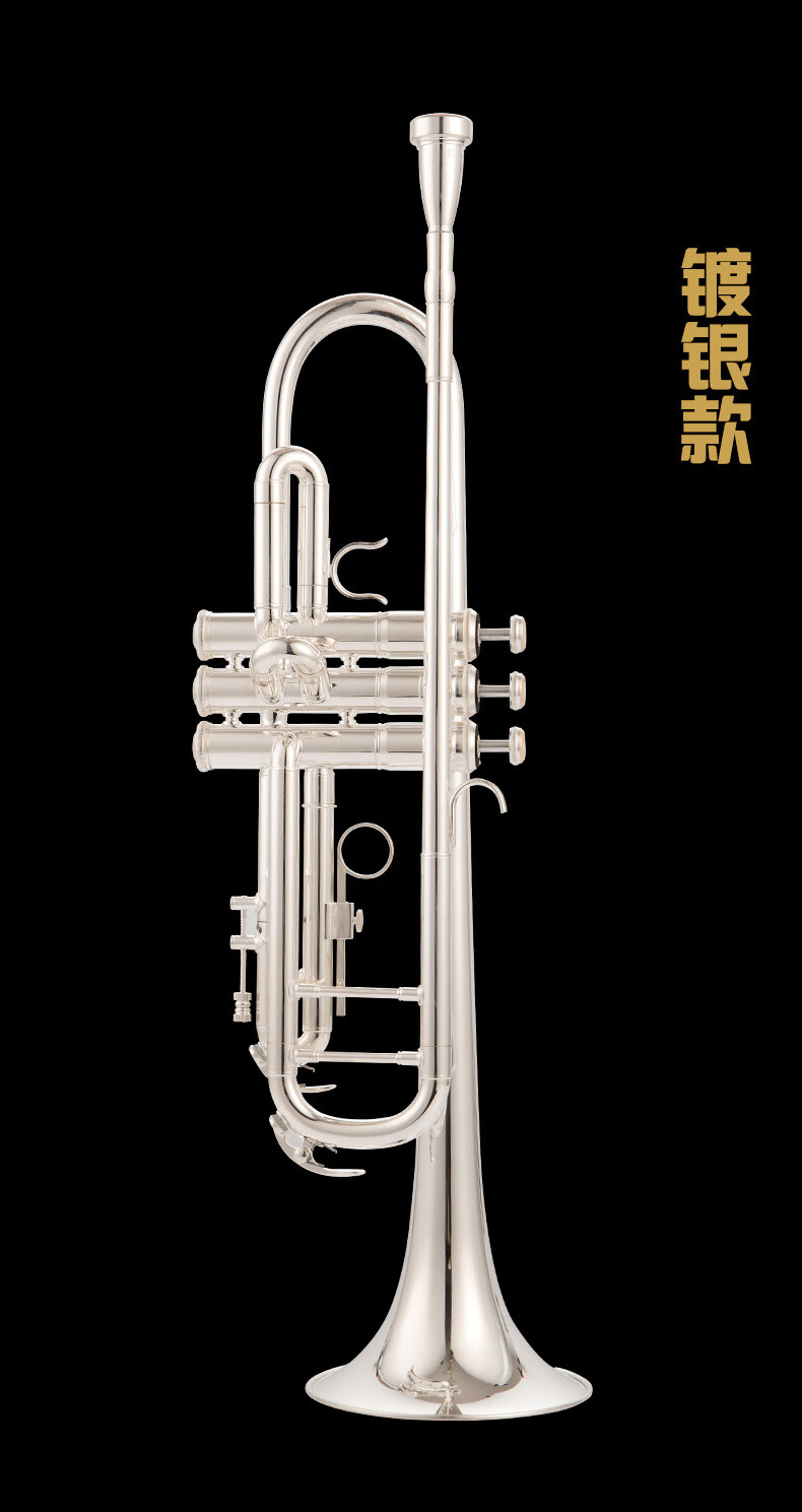 京选推荐巴哈bach降b调小号lt197gs65b调乐器镀银初学者入门演奏磷铜