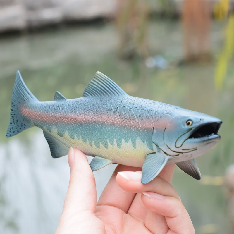 模型鯨魚鯊魚章魚海馬三文魚烏賊動物早教兒童認知擺件 safar錘頭鯊