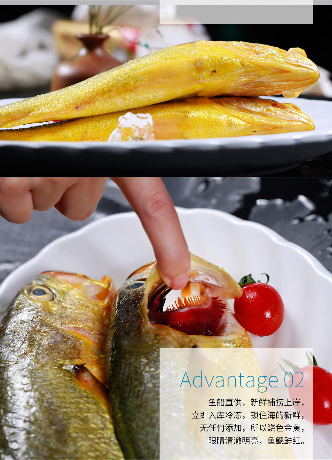 中国特产南通馆仙缘海鲜东海中黄鱼450g新鲜冷冻海鲜水产南通特产