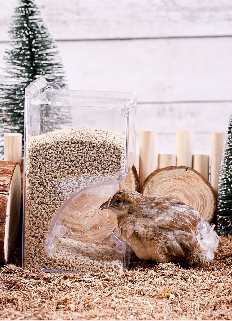 芦丁鸡喂食器鹦鹉自动下料器鸽子饮水器水壶鸟食盒雏鸡小鸡喂水器