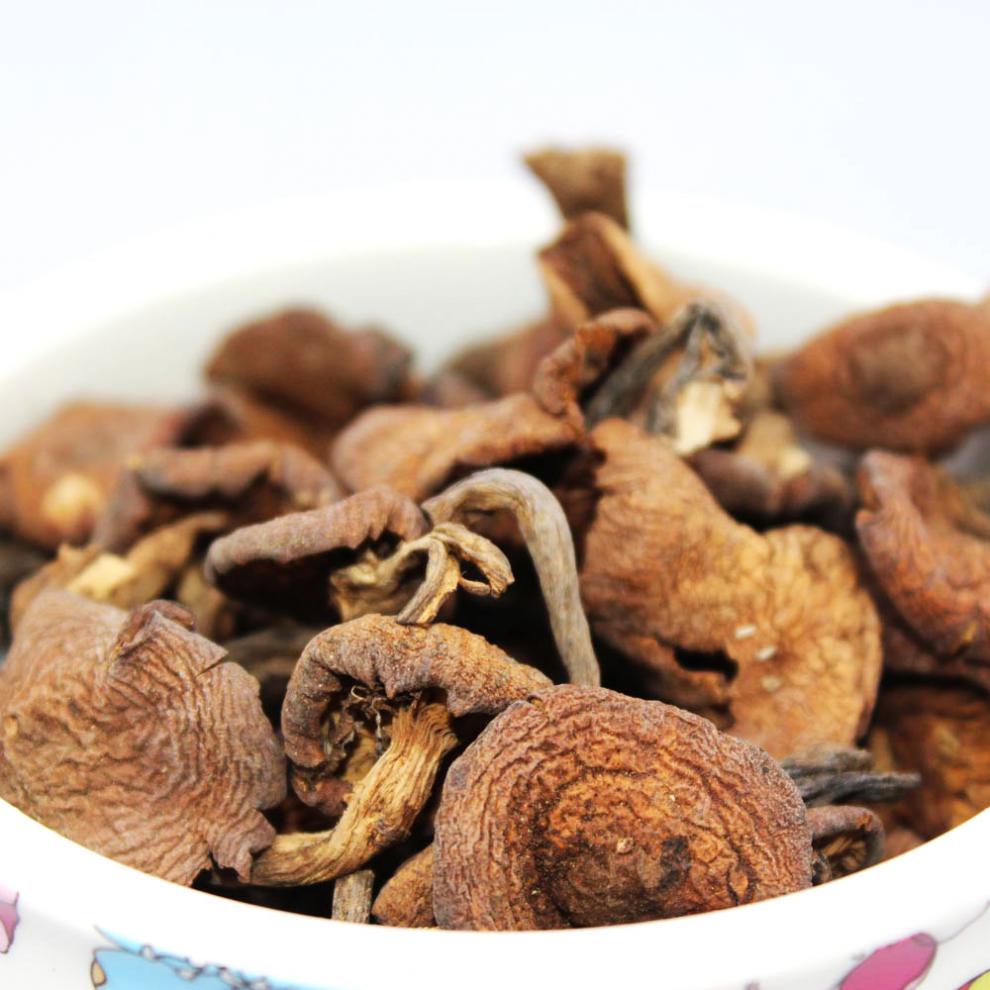 东北特产榛蘑菇小鸡炖蘑菇无根干货榛磨榛蘑丁食用菌500g【图片 价格