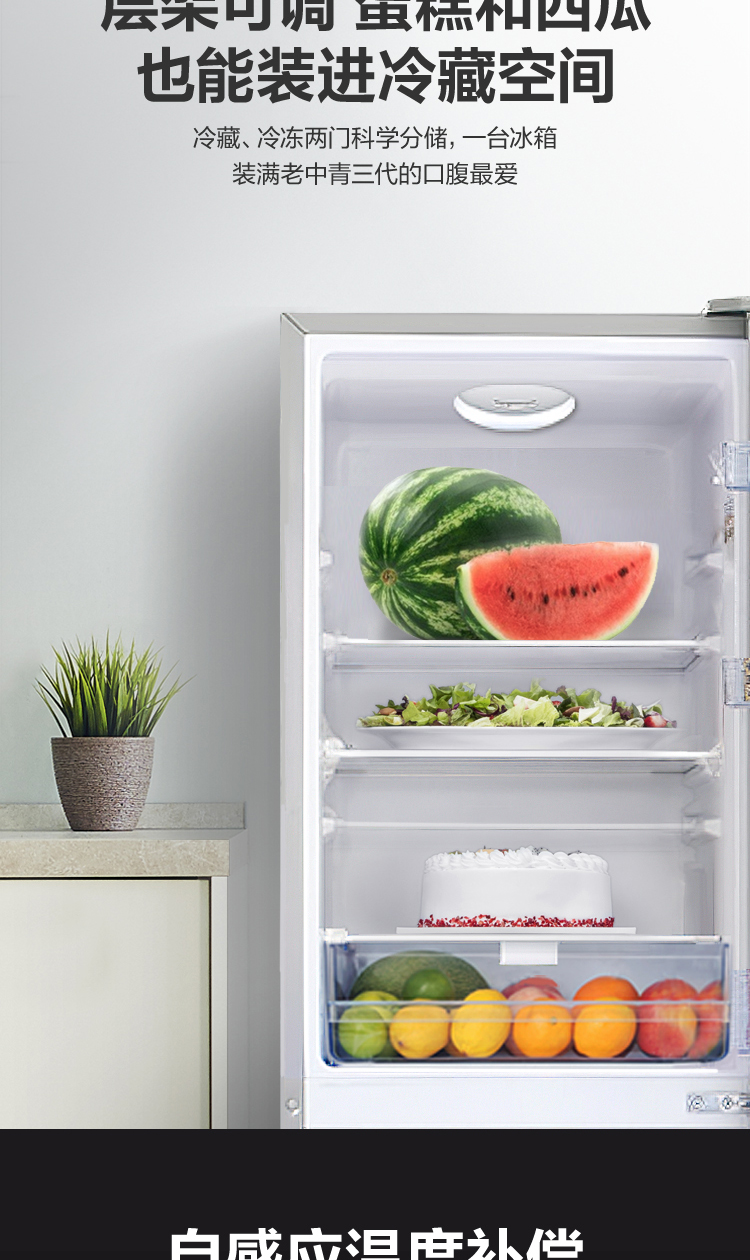 租房小户型宿舍办公室冷藏立式冷冻 节能省电保鲜迷你小型电冰箱 bcd