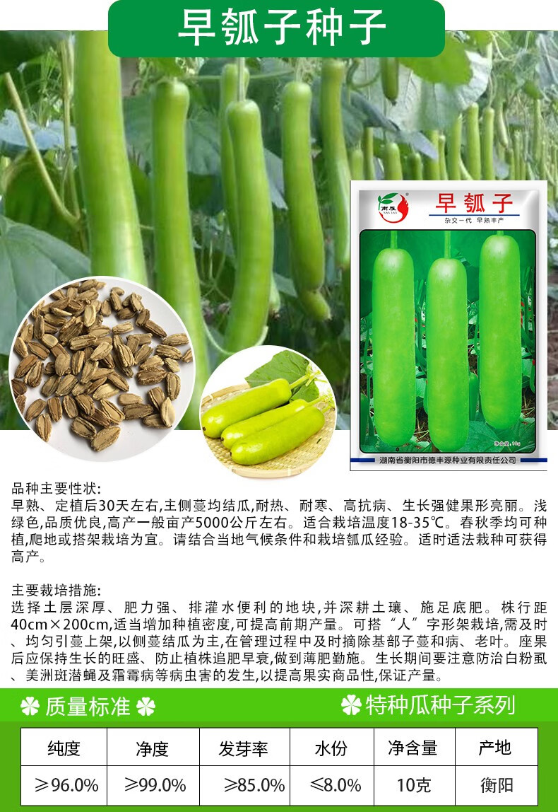 南雁早生瓠瓜种子春夏秋四季蔬菜种子口味好蒲瓜食用瓠子瓜菜葫芦种子