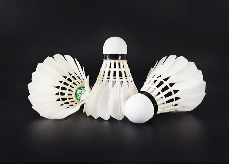 rsl亚狮龙羽毛球亚狮龙4号五号防风耐打型复合软木专业比赛羽毛球室内