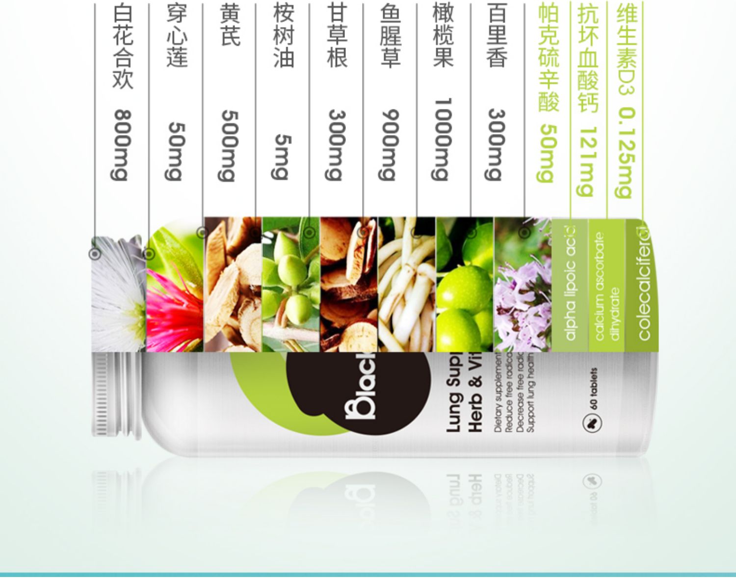blackpeach澳洲草本肺动力肺部保健品动能片立草本 六瓶装【图片 价格
