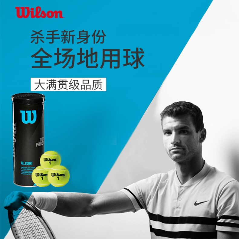 wilson威尔胜法网联名款网球地美网专用比赛网球训练网球威尔胜无压