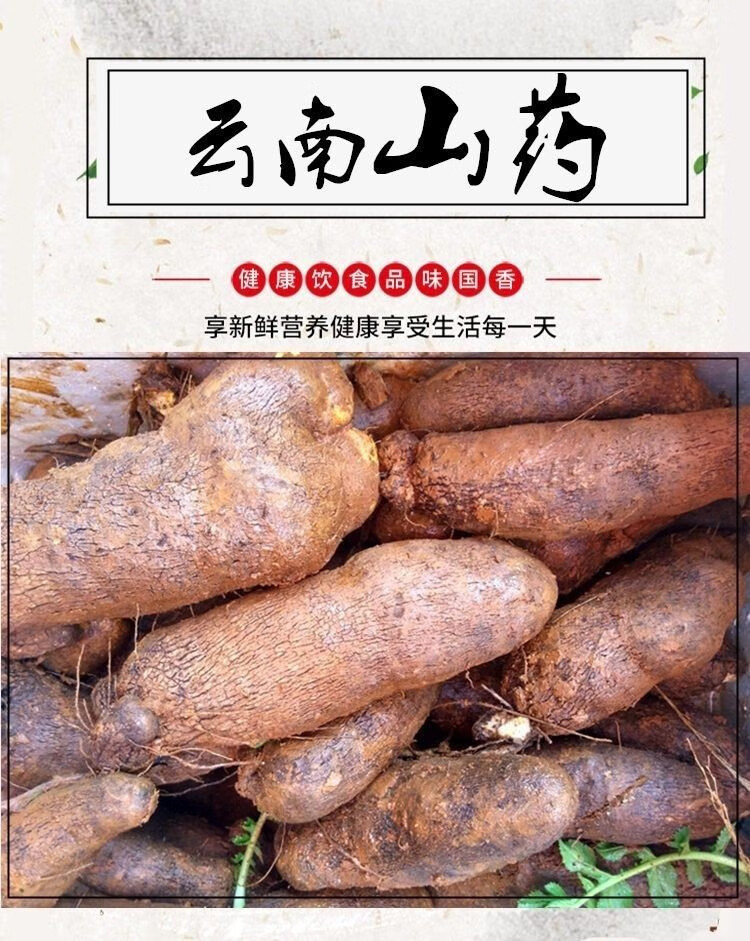 秤砣山药云南新鲜糯米山药淮山药粉糯丽江新山药农家蔬菜佛手山药 5斤