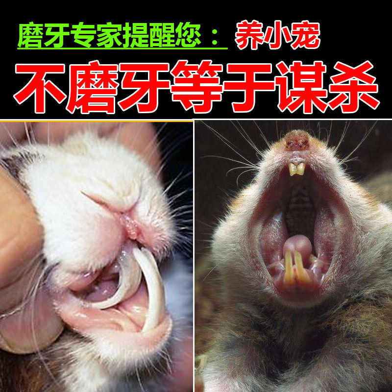 仓鼠磨牙石荷兰猪松鼠磨牙棒金丝熊玩具木屑宠物粮食主粮套餐用品胡
