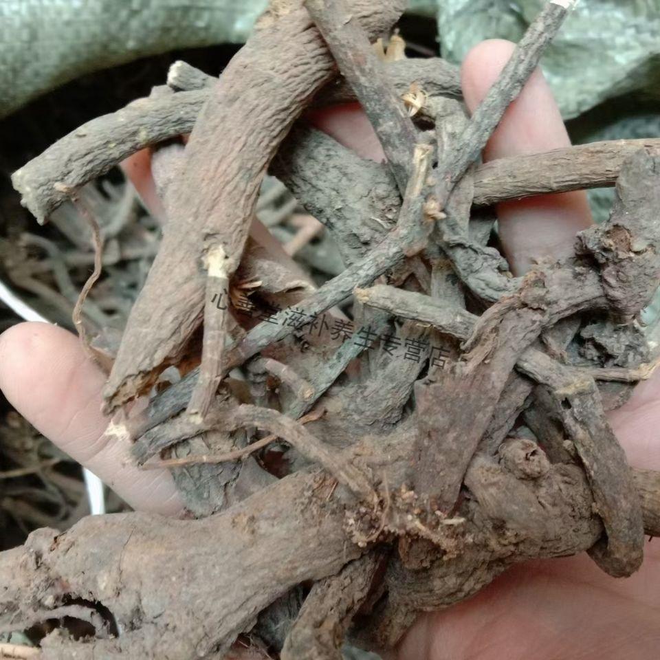 【志医世家】京大戟 大戟中药材龙虎草 将军草九头狮子牛奶浆草芫花