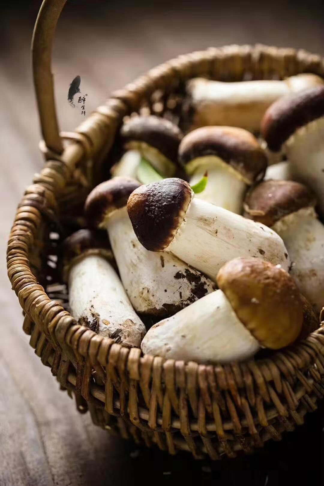 姬松茸松茸新鲜云南特产巴西菇蘑菇球盖菇食用菌煲汤松口蘑赤松茸 7-9