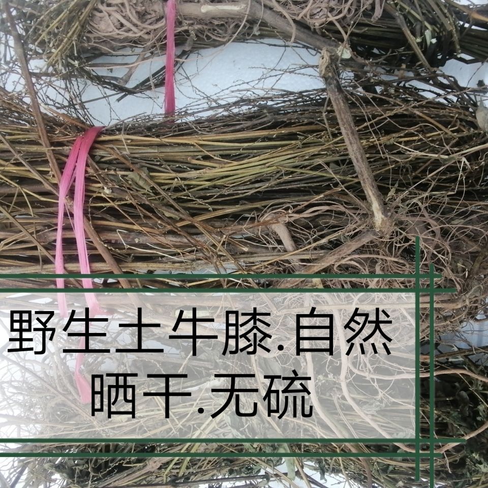 伟博 土牛膝 鸡掇鼻 倒扣草 土牛七 白牛膝干品新货 【精选】5斤
