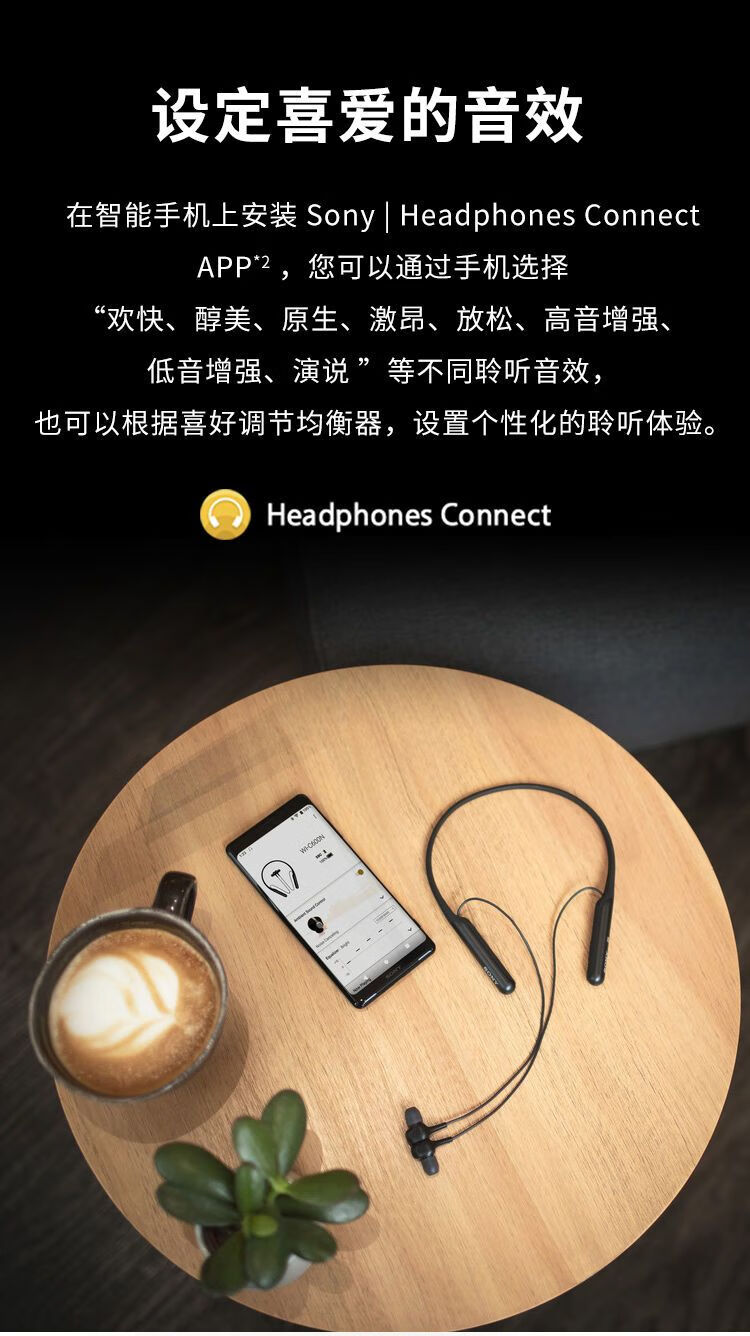 索尼(sony)wi-c600n入耳式无线蓝牙耳机颈挂式主动降噪耳塞挂脖式