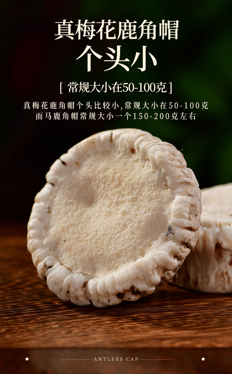 【药房直售】梅花鹿角帽粉长白山纯正鹿托盘打粉结节散结疏通下奶茶冒
