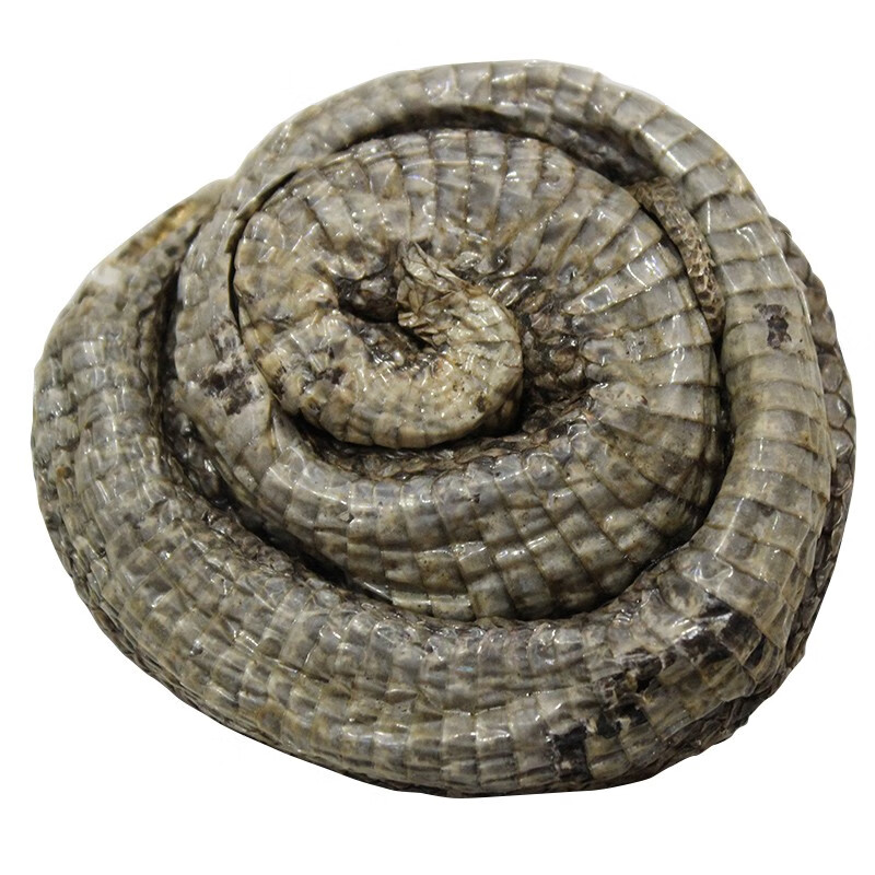 北京同仁堂 蝮蛇 中药材 土公蛇 七寸子 蝮蛇干 非开膛净货 内廷上用