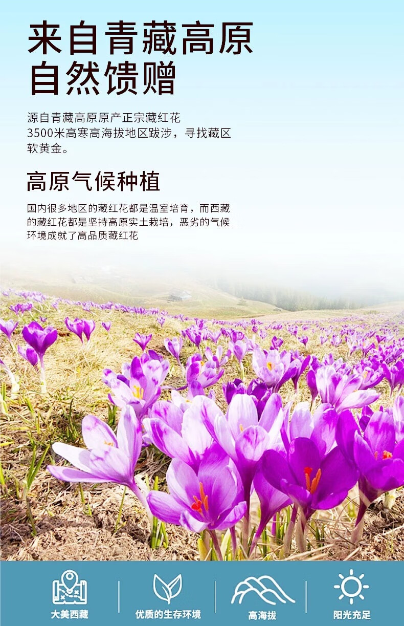af87016a12ea55f1.jpg