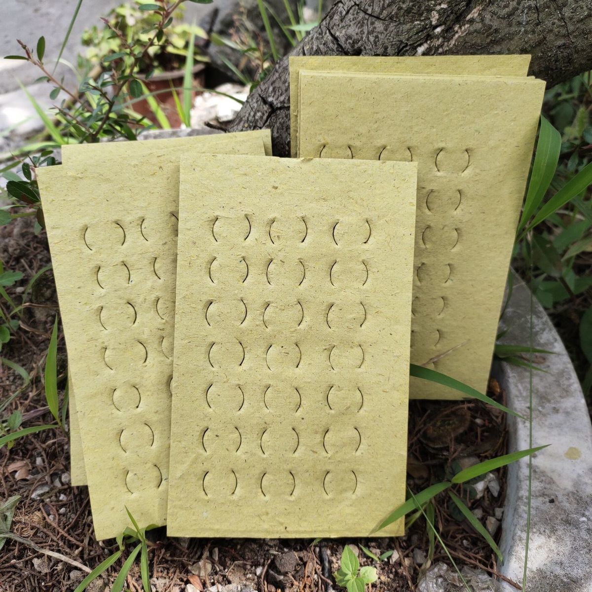 quanshe清明节上坟祭奠烧纸烧香拜佛用品家用老式打孔烧纸钱纸纸币