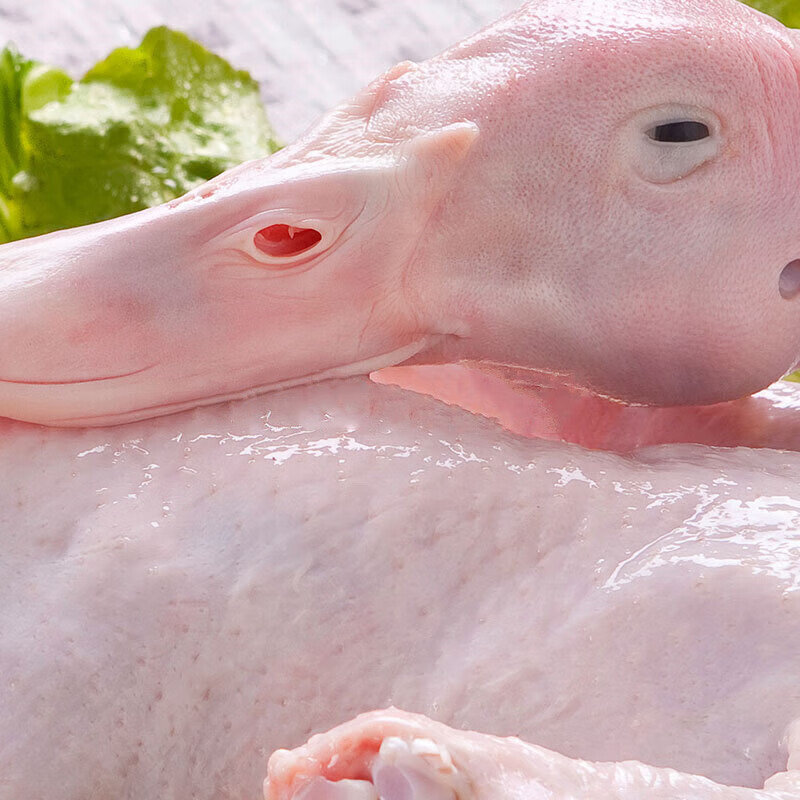 白条鸭新鲜速冻白条鸭鸭肉白条鸭板鸭1000g只2只装