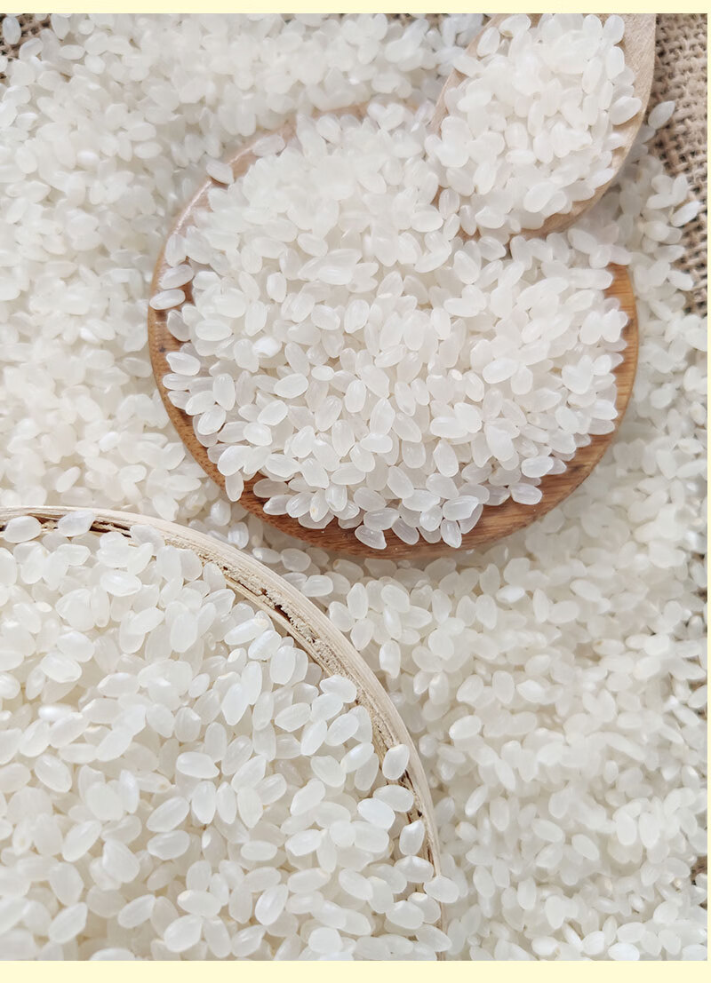 新米东北有机大米 5kg五常稻花香非杂交水稻圆粒珍珠米宝宝粥米粳m 有