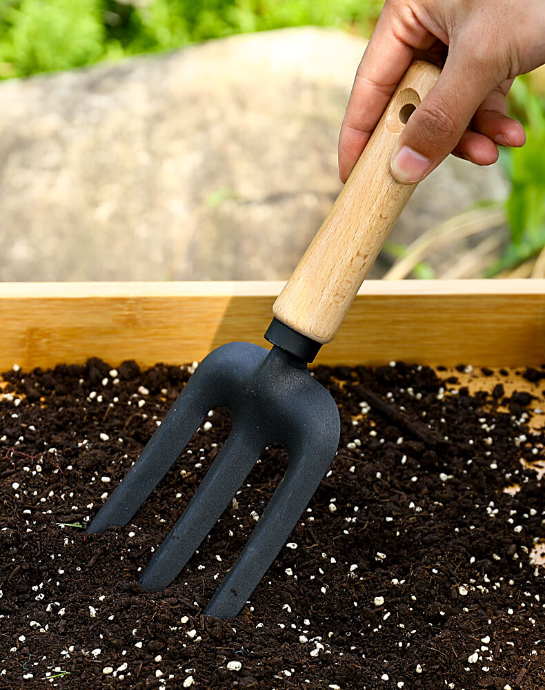 小铲子种花工具家用三件套装园艺花卉盆栽养花种菜铁锹铲多肉花铲驰爵