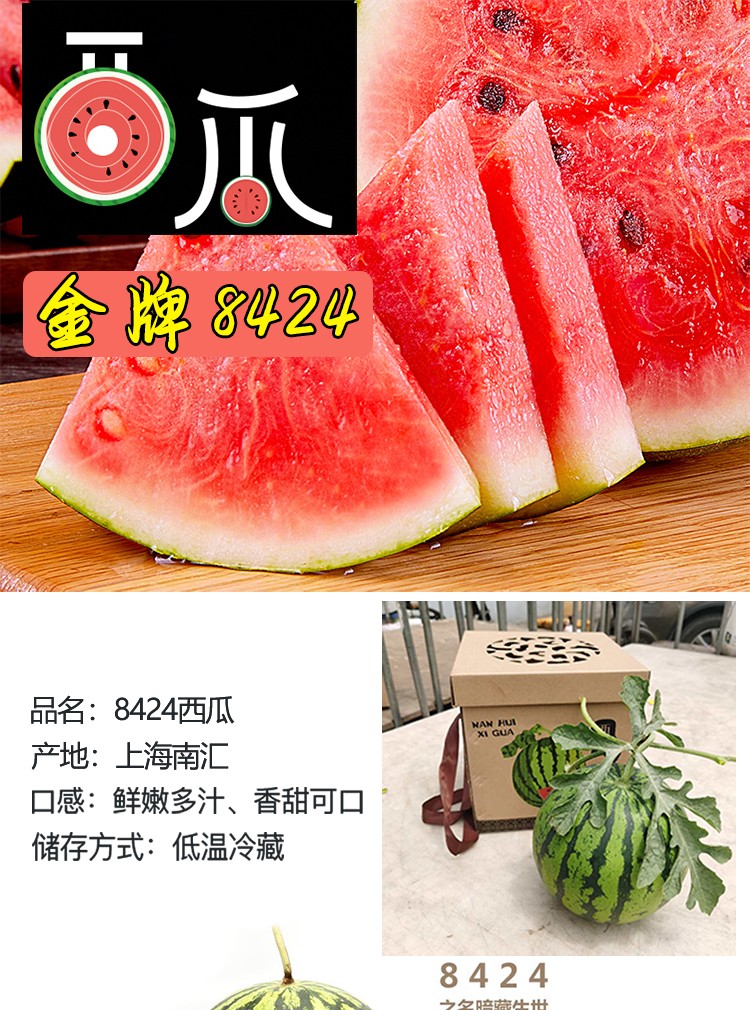 上海南汇8424西瓜麒麟西瓜脆甜多汁新鲜水果2个装单果净重68斤
