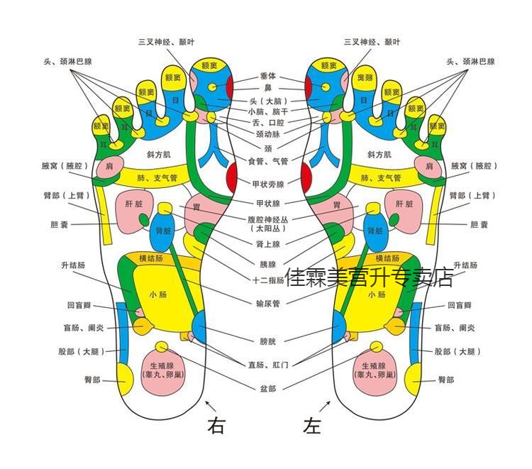 指壓板腳底按摩器家用穴位仿鵝卵石足底按摩墊超痛版趾壓板足療毯3535