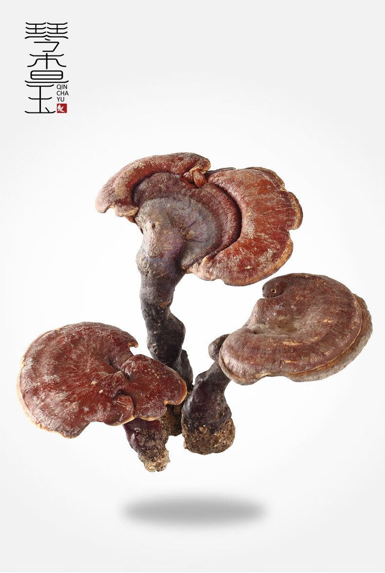 琴查玉东北长白山干灵芝整枝正品赤红灵芝干货泡酒料 赤灵芝整支500克