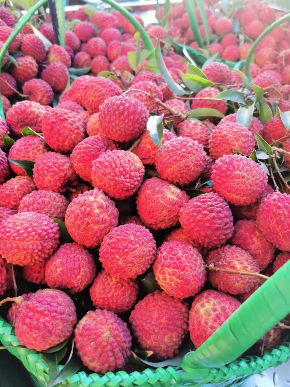 【jd/顺丰空运】2022海南荔枝王 火山荔枝王新鲜超大现摘现发海口永兴