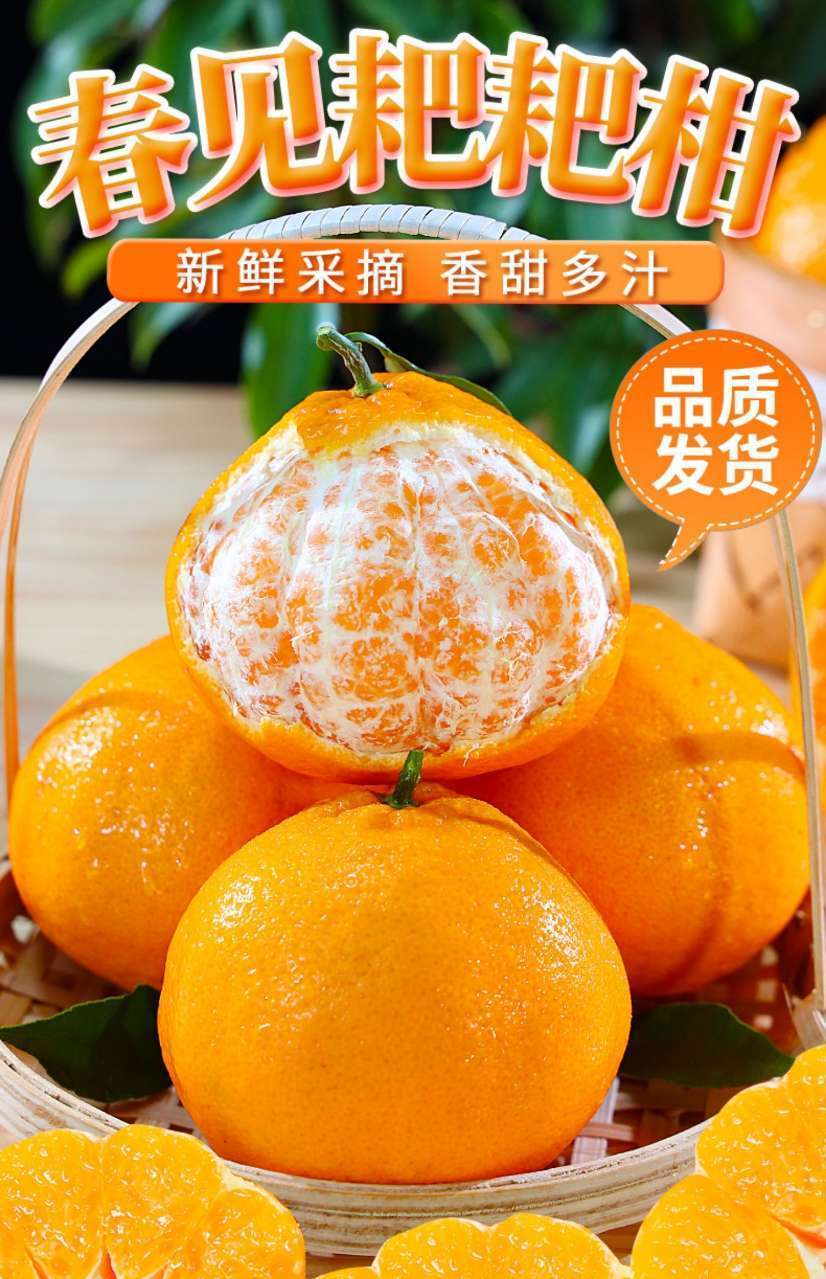 四川耙耙柑与丑橘有什么区别(四川丑橘和耙耙柑有什么区别)
