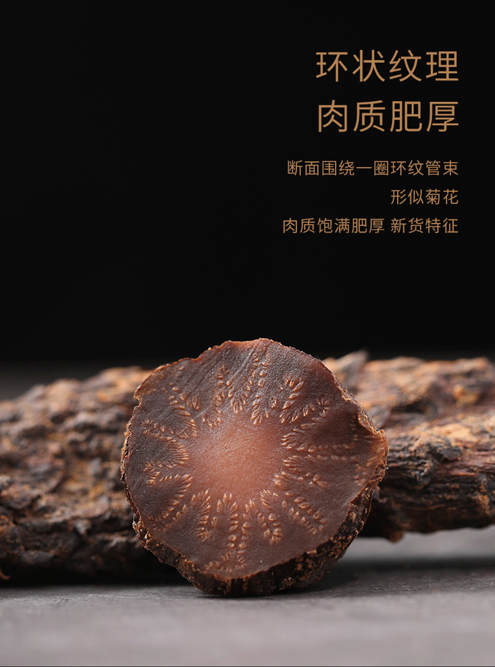 汉资堂内蒙古阿拉善油肉苁蓉鲜干切片泡茶酒料金锁阳男性药材男性非